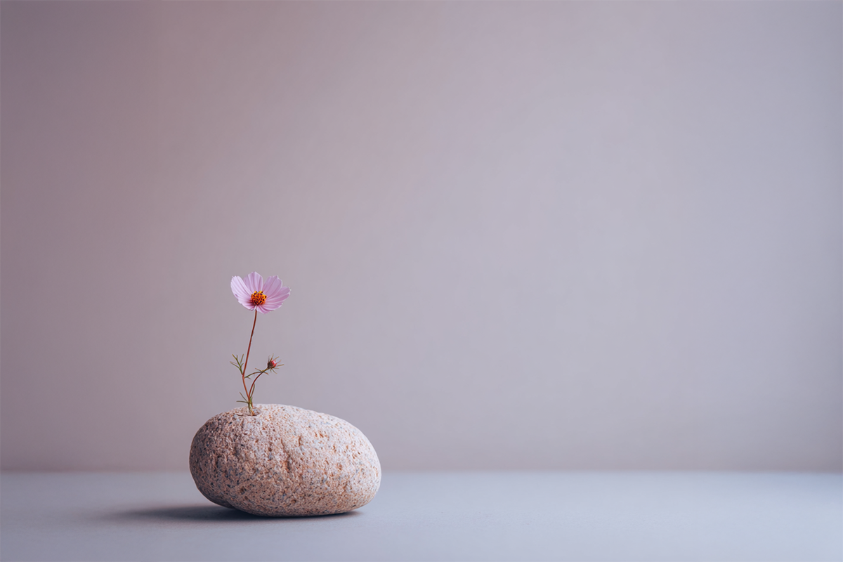 Zarte rosa Blume wächst aus einem hellen Stein vor schlichtem Hintergrund – Symbol für Selbstwert