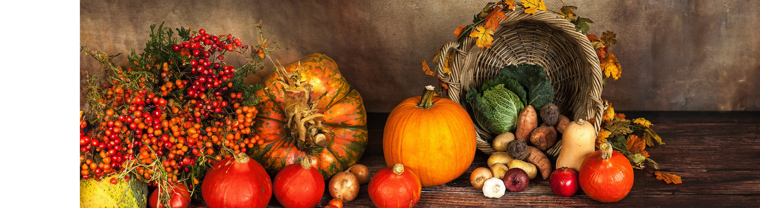 Power-Gemüse für den Herbst und Winter