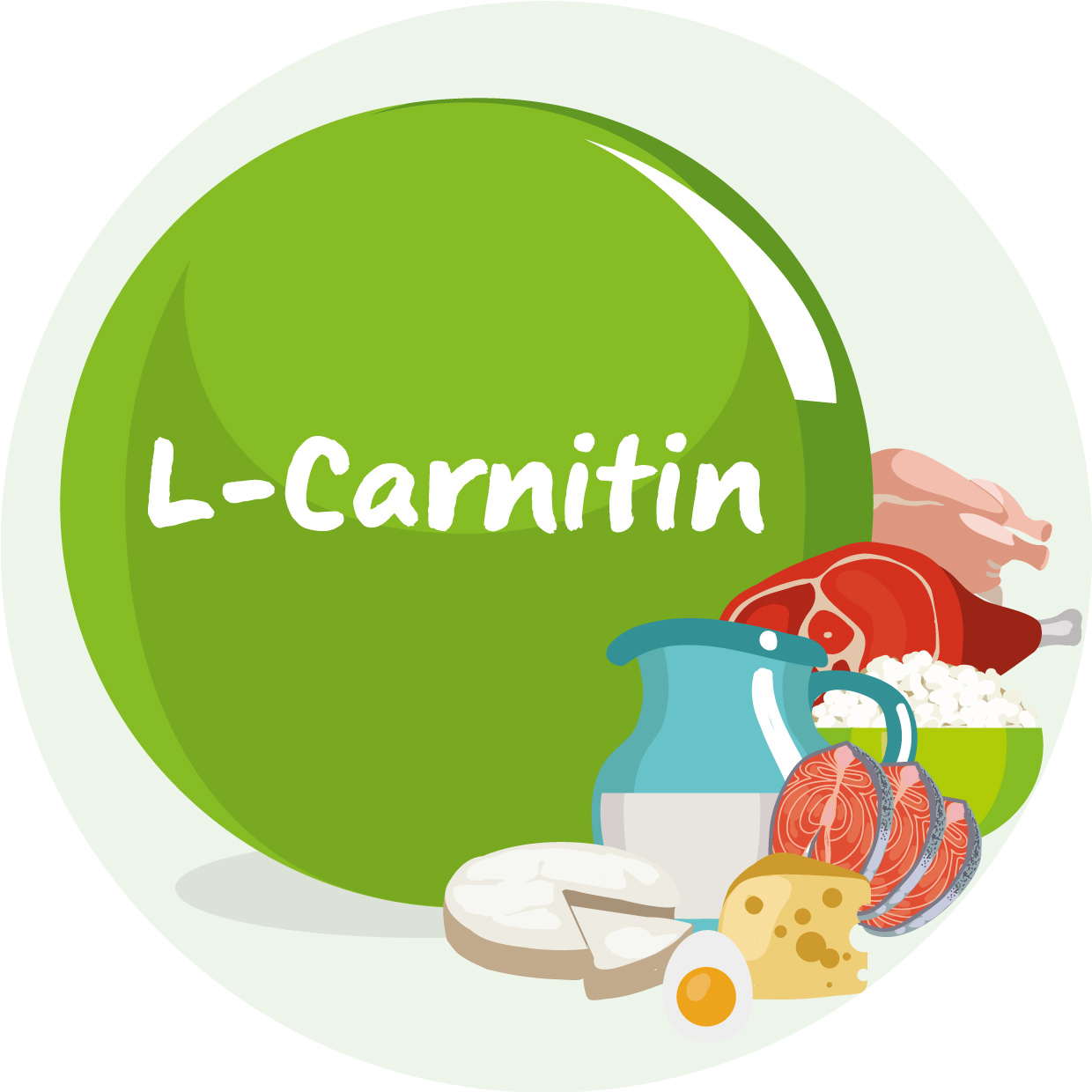 So unterstützt L-Carnitin die Fettverbrennung x-rund