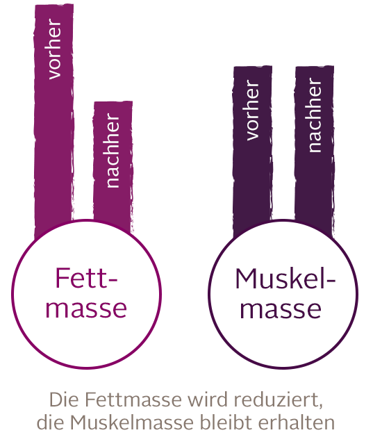 Muskelmasse -