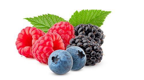 Beeren AdobeStock --